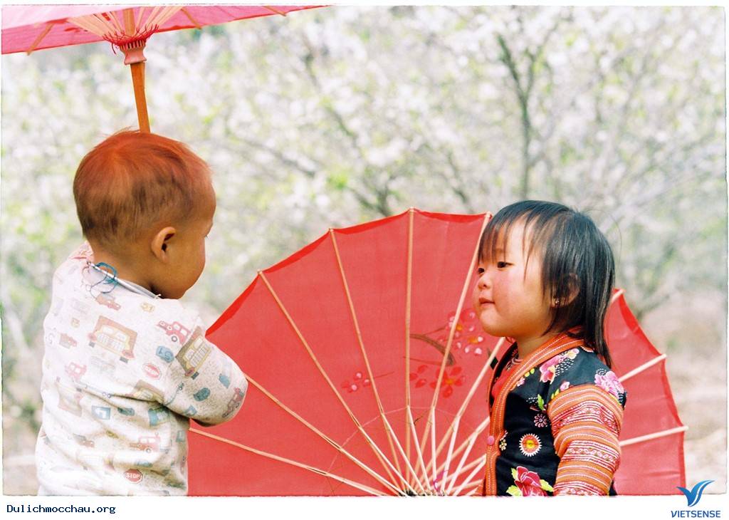 Du Xuân Mộc Châu Ngắm Mai Anh Đào Đầy Lãng Mạn - Ảnh 14 Du Xuân Mộc Châu Ngắm Mai Anh Đào Đầy Lãng Mạn - Ảnh 14