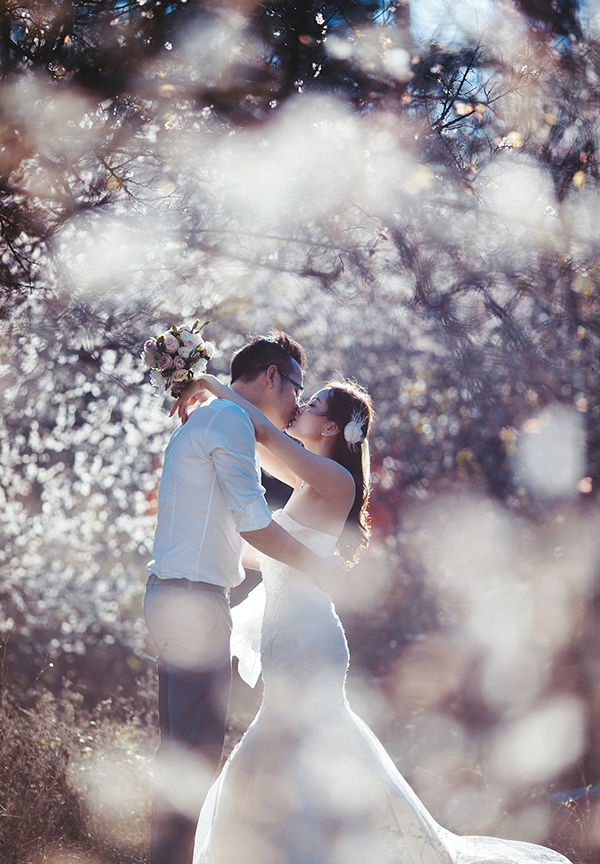 Bộ Ảnh Cưới Để Đời Giữa Thiên Đường Hoa Mận Trắng Mộc Châu - Ảnh 5