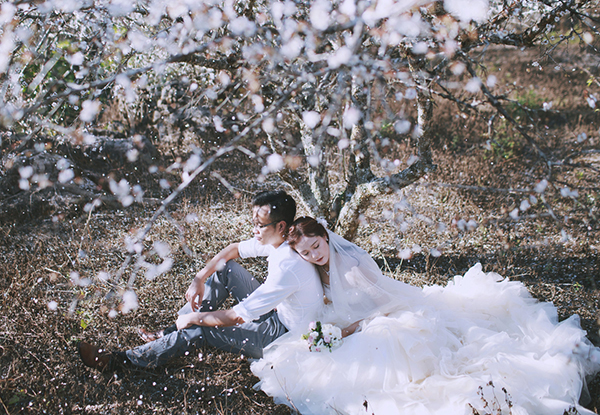 Bộ Ảnh Cưới Để Đời Giữa Thiên Đường Hoa Mận Trắng Mộc Châu - Ảnh 2