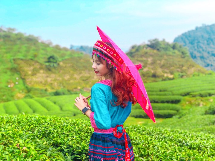 Check-in Mộc Châu - Điểm Đến Hấp Dẫn Nhất Những Ngày Cuối Năm - Ảnh 8