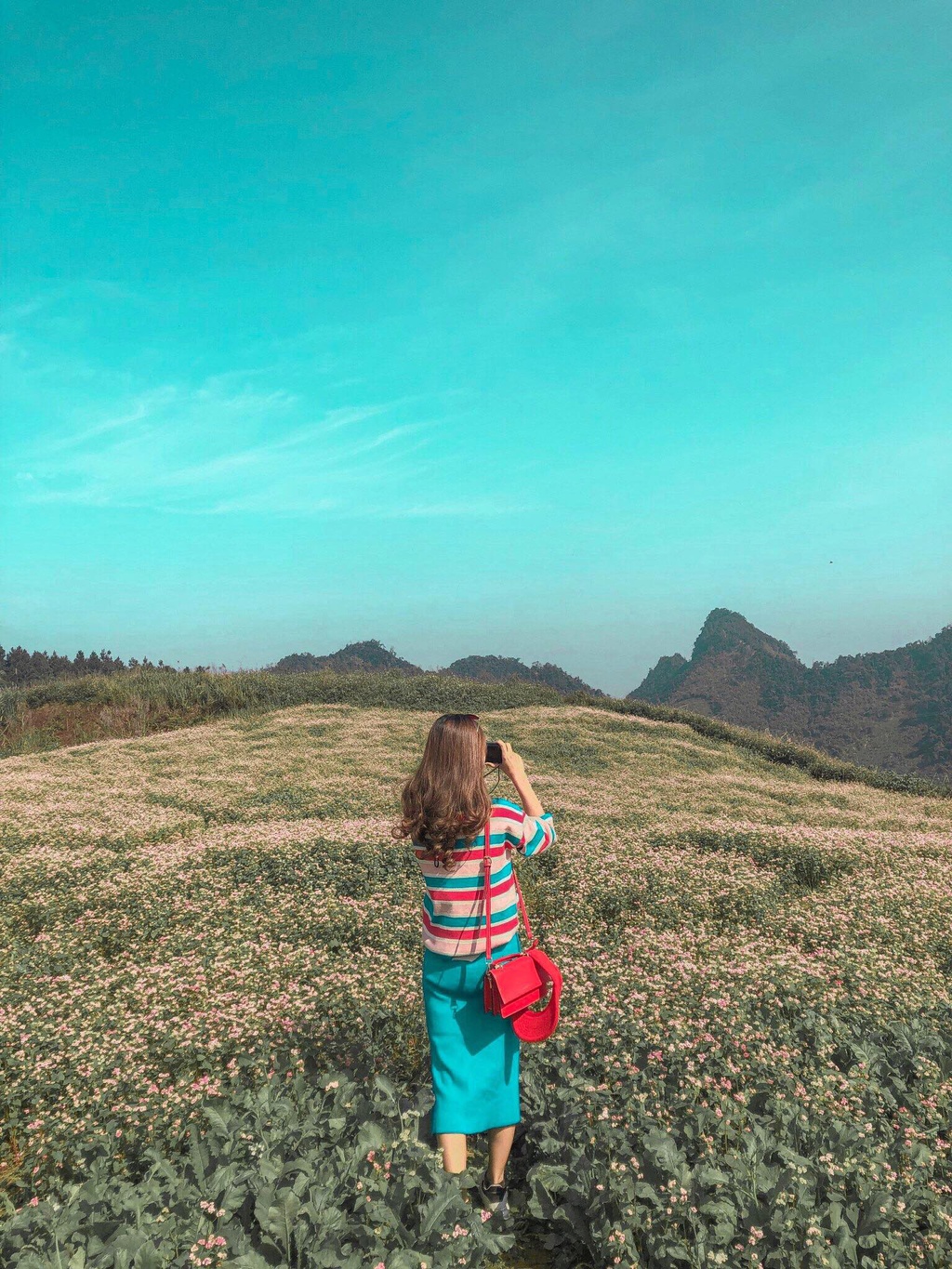 Check-in Mộc Châu - Điểm Đến Hấp Dẫn Nhất Những Ngày Cuối Năm - Ảnh 6