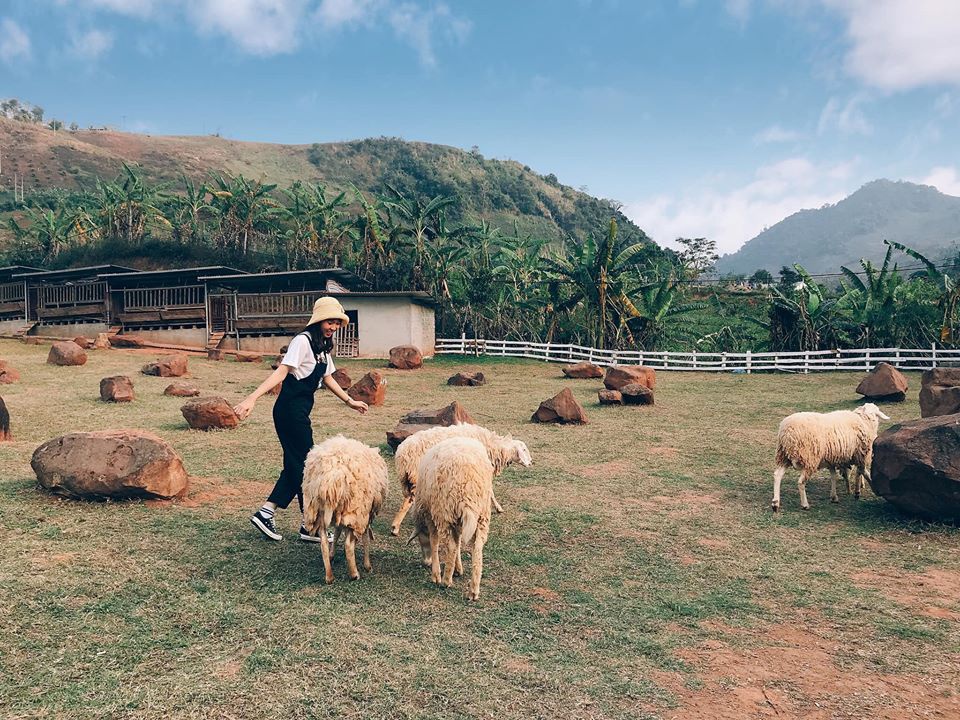 Check-in Mộc Châu - Điểm Đến Hấp Dẫn Nhất Những Ngày Cuối Năm - Ảnh 9