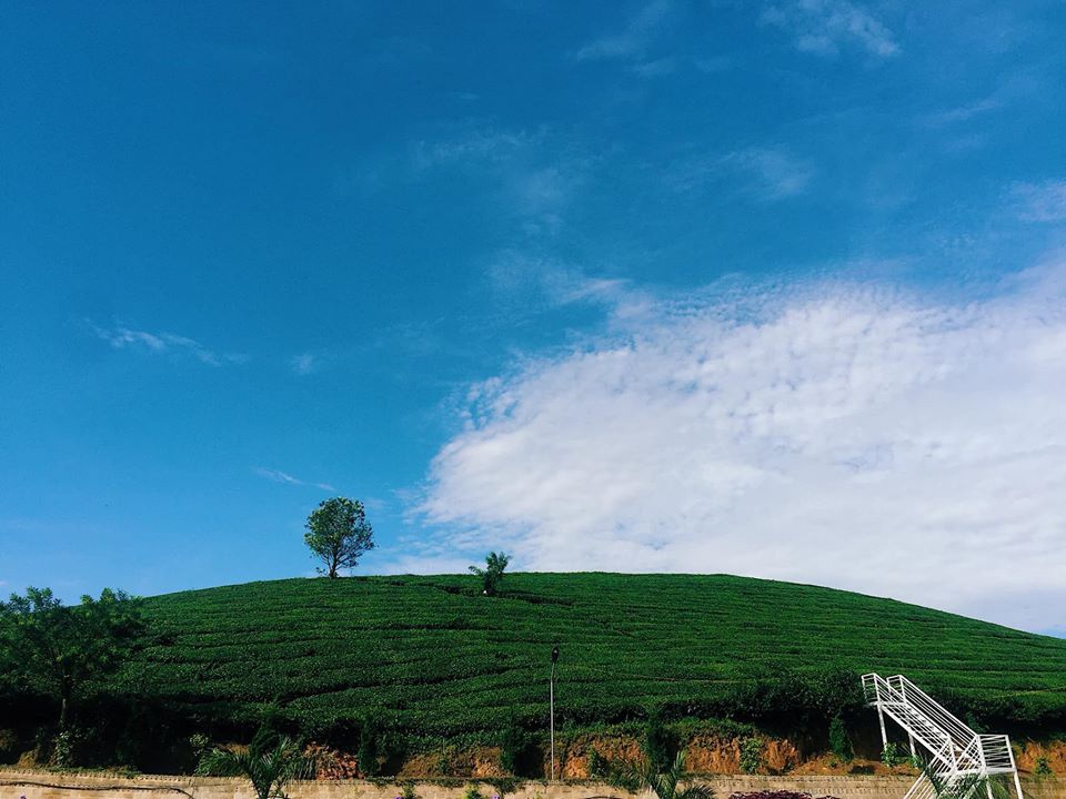 Check-in Mộc Châu - Điểm Đến Hấp Dẫn Nhất Những Ngày Cuối Năm - Ảnh 4