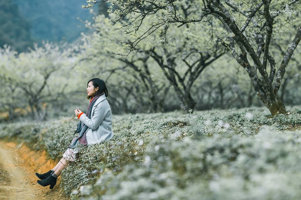 Lưu trú hành trình Mộc Châu tháng 10 Lưu trú hành trình Mộc Châu tháng 10