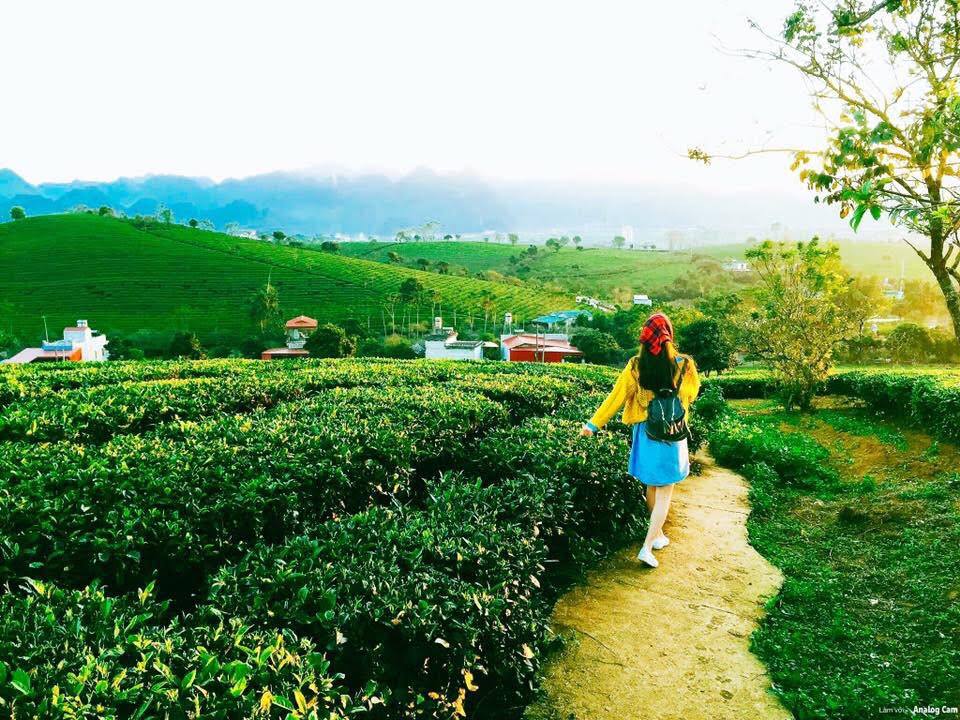 Độc đáo với những căn nhà container siêu xinh tại Mộc Châu Arena Village - Ảnh 6