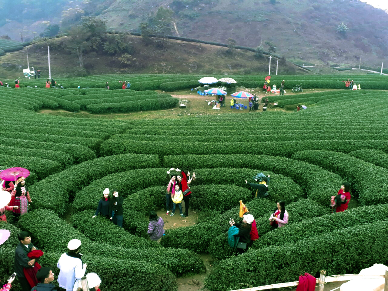 Hình Ảnh Đoàn chương trình Mộc Châu Khởi Hành 23 - 24/12/2017 - Ảnh 3
