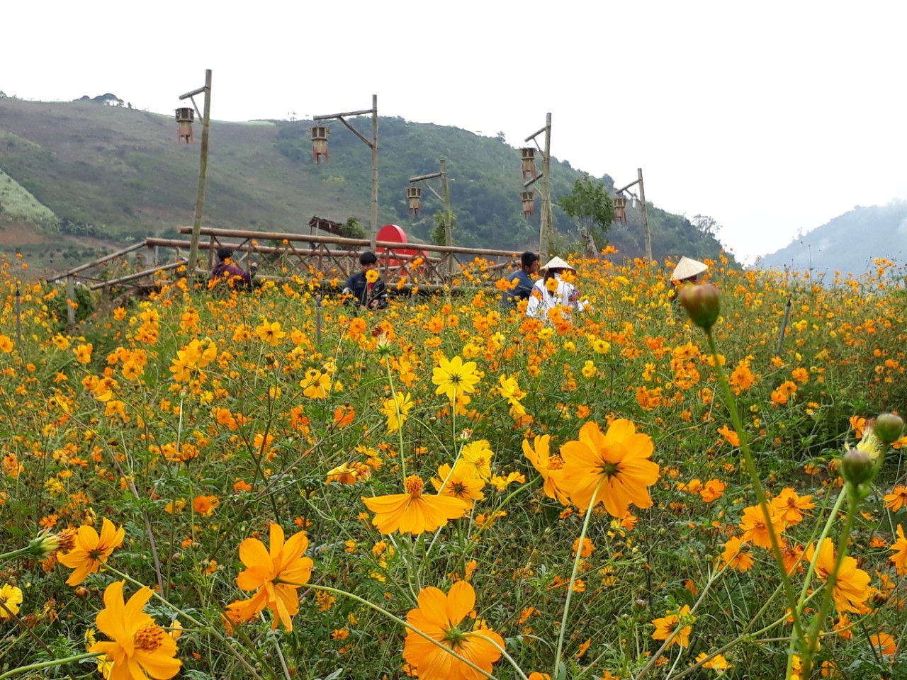 Hình Ảnh Đoàn chương trình Mộc Châu Khởi Hành 9 - 10/12/2017 - Ảnh 1