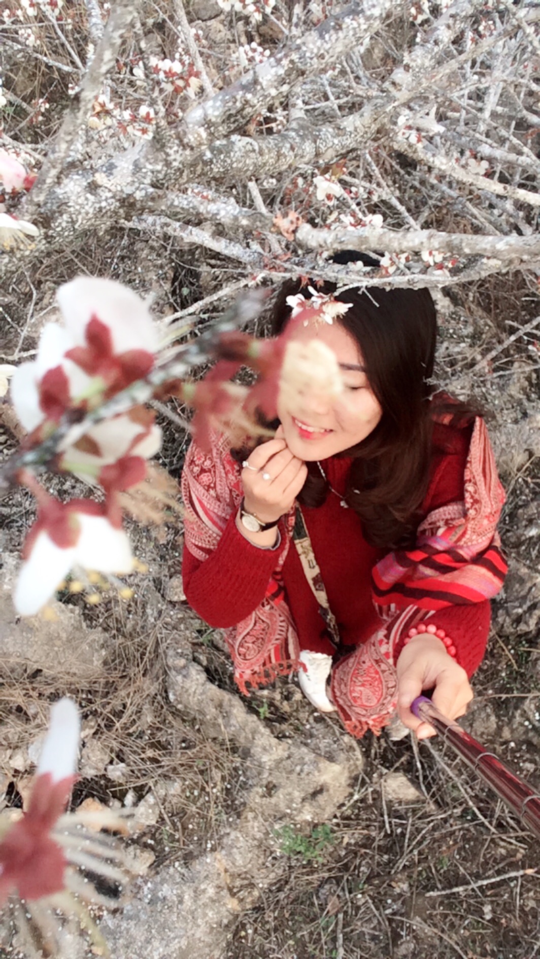 Hình Ảnh Đoàn chương trình Mộc Châu Mùa Hoa Mơ Hoa Mận Ngày 13 - 14/1/2018 - Ảnh 3