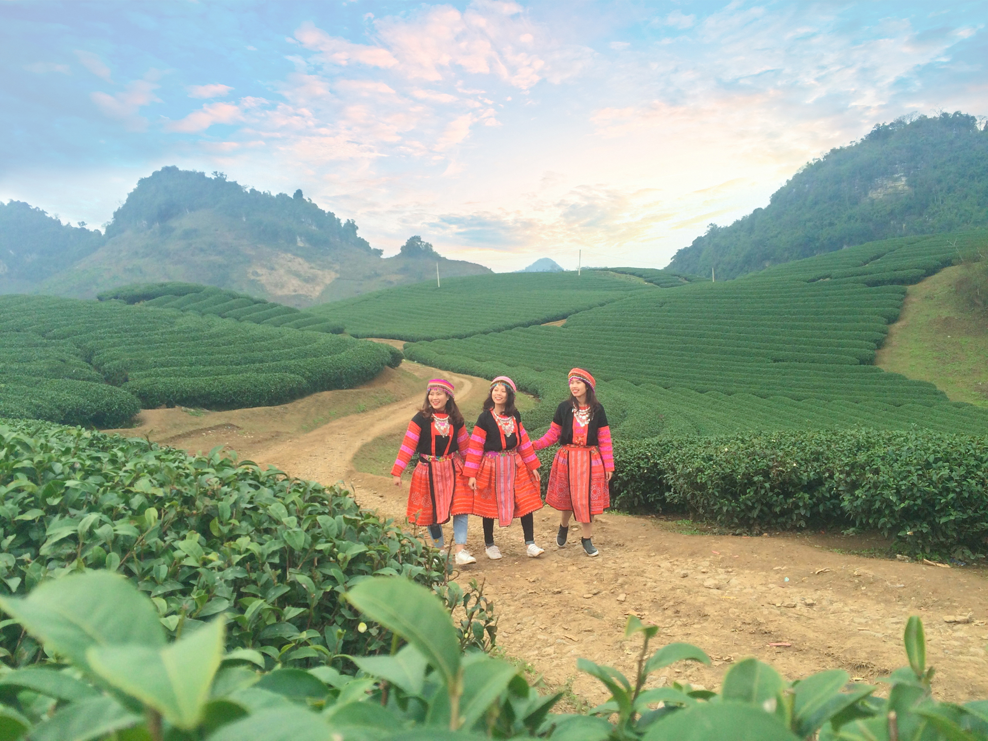 Hình Ảnh Đoàn chương trình Mộc Châu Mùa Hoa Mơ Hoa Mận Ngày 13 - 14/1/2018 - Ảnh 6