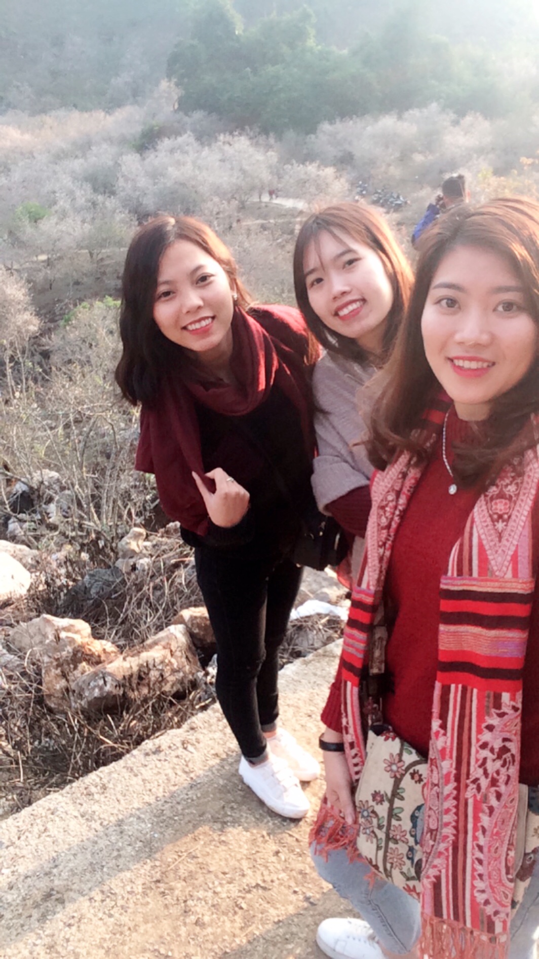 Hình Ảnh Đoàn chương trình Mộc Châu Mùa Hoa Mơ Hoa Mận Ngày 13 - 14/1/2018 - Ảnh 4