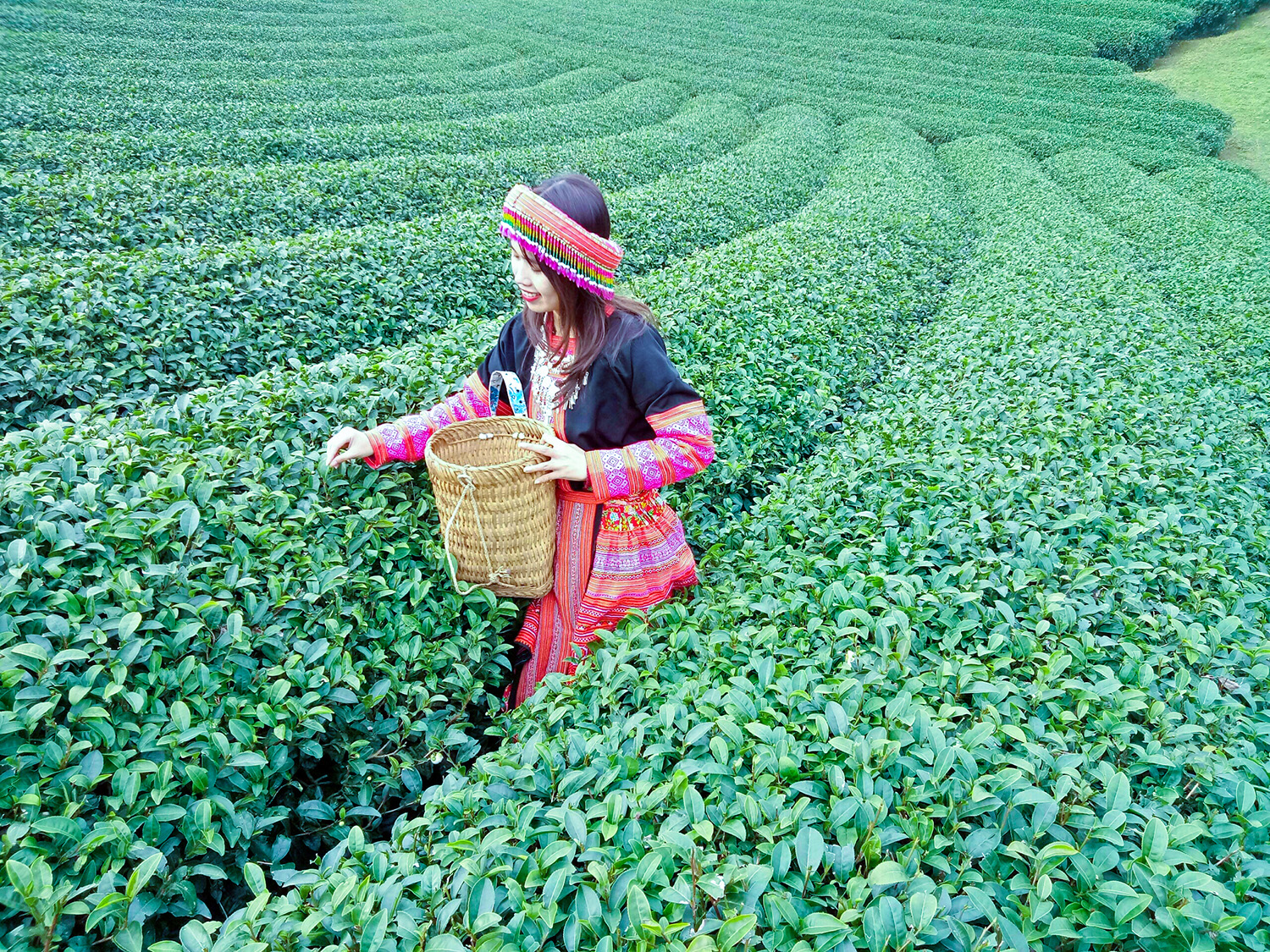 Hình Ảnh Đoàn chương trình Mộc Châu Mùa Hoa Mơ Hoa Mận Ngày 13 - 14/1/2018 - Ảnh 12