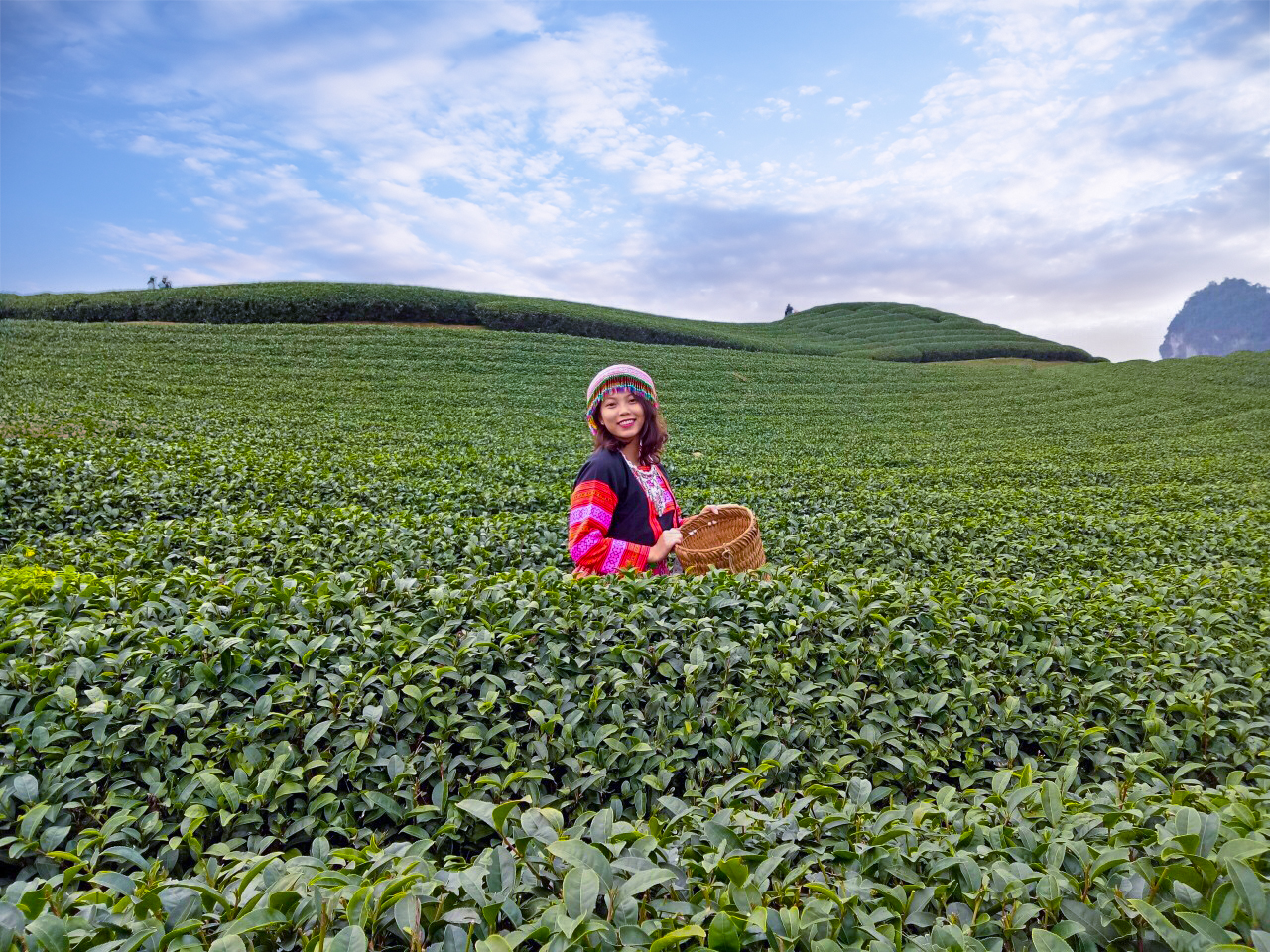 Hình Ảnh Đoàn chương trình Mộc Châu Mùa Hoa Mơ Hoa Mận Ngày 13 - 14/1/2018 - Ảnh 13