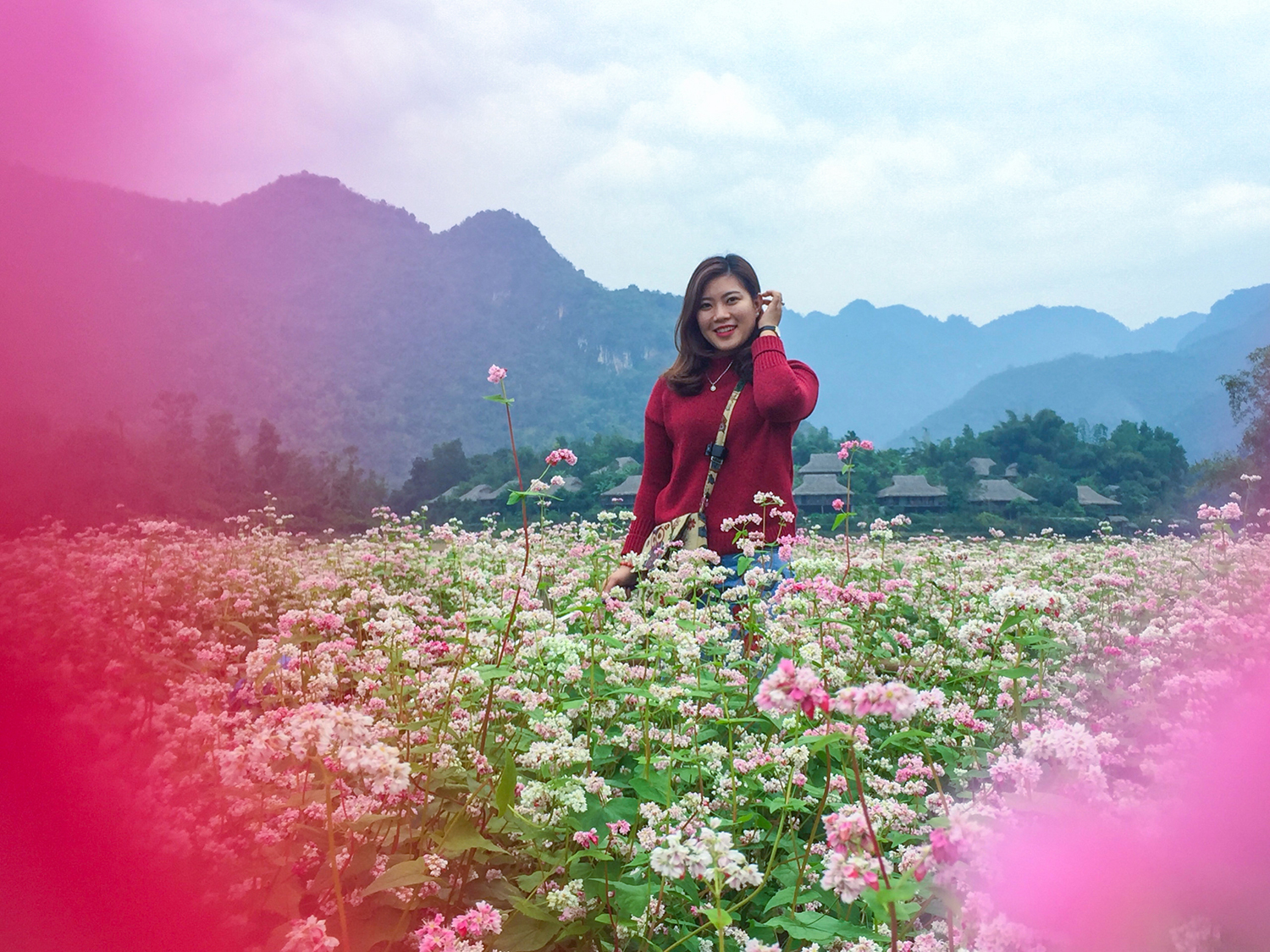 Hình Ảnh Đoàn chương trình Mộc Châu Mùa Hoa Mơ Hoa Mận Ngày 13 - 14/1/2018 - Ảnh 10