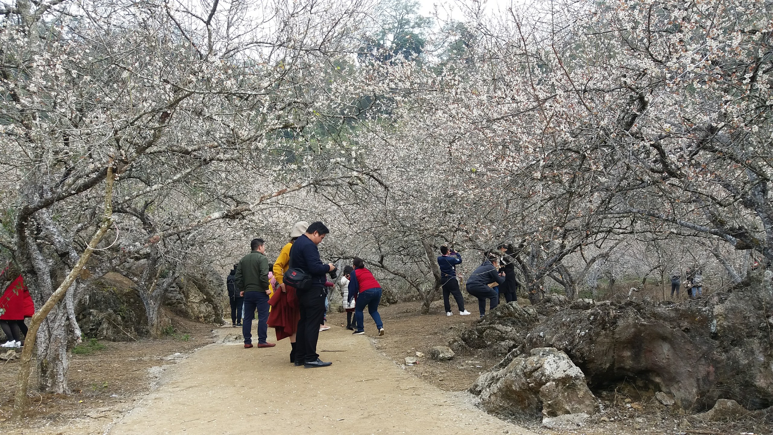 Hình Ảnh Đoàn chương trình Thung Nai Mộc Châu Khởi Hành 13 - 14/1/2018 - Ảnh 7
