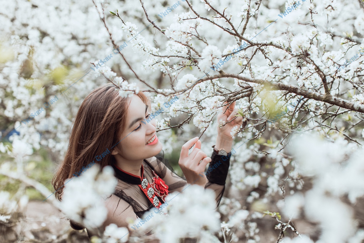 Làm gì ở Mộc Châu