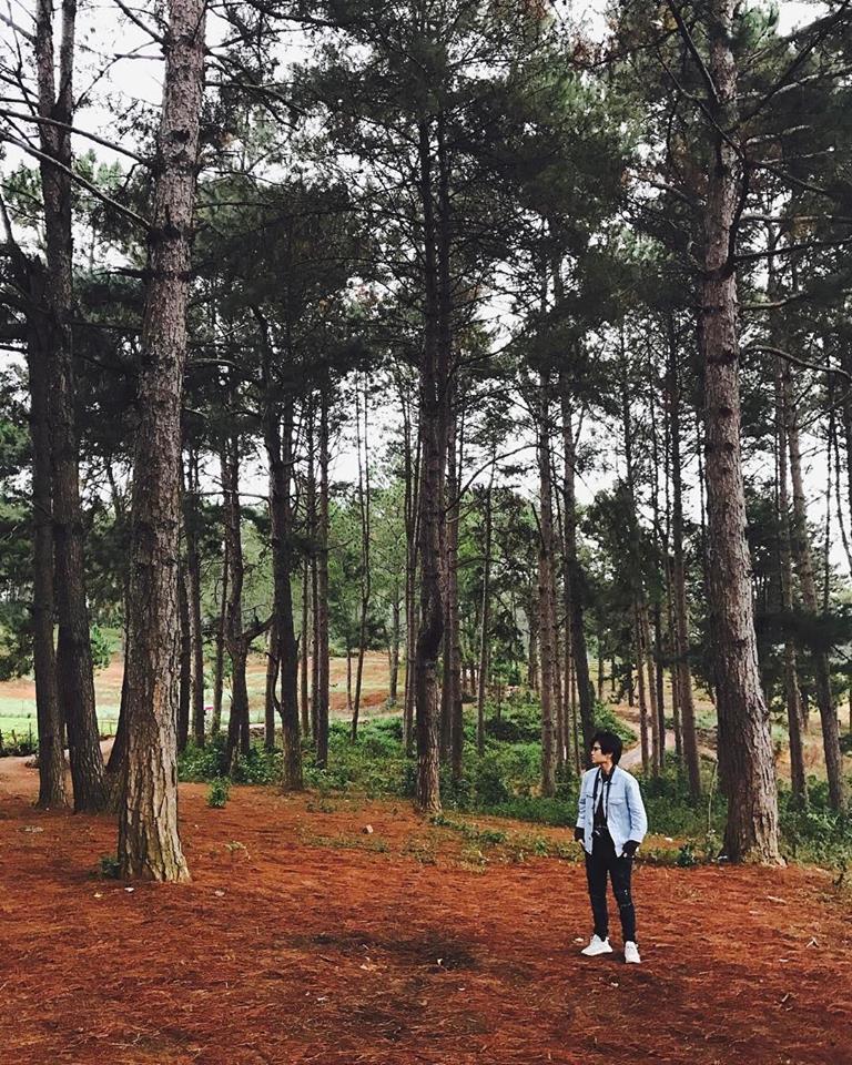 NGẮM GÌ Ở MỘC CHÂU - Ảnh 5