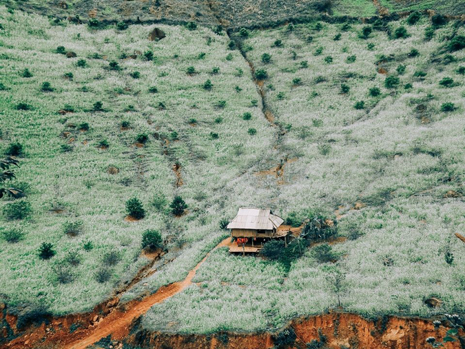 Ngất Ngây 4 điểm thăm quan Mộc Châu Mùa Hoa Cái Trắng - Ảnh 8 Ngất Ngây 4 điểm thăm quan Mộc Châu Mùa Hoa Cái Trắng - Ảnh 8