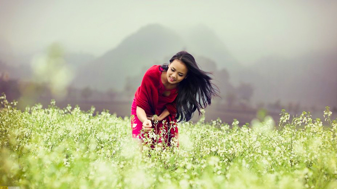 Ngất Ngây 4 điểm thăm quan Mộc Châu Mùa Hoa Cái Trắng - Ảnh 7 Ngất Ngây 4 điểm thăm quan Mộc Châu Mùa Hoa Cái Trắng - Ảnh 7