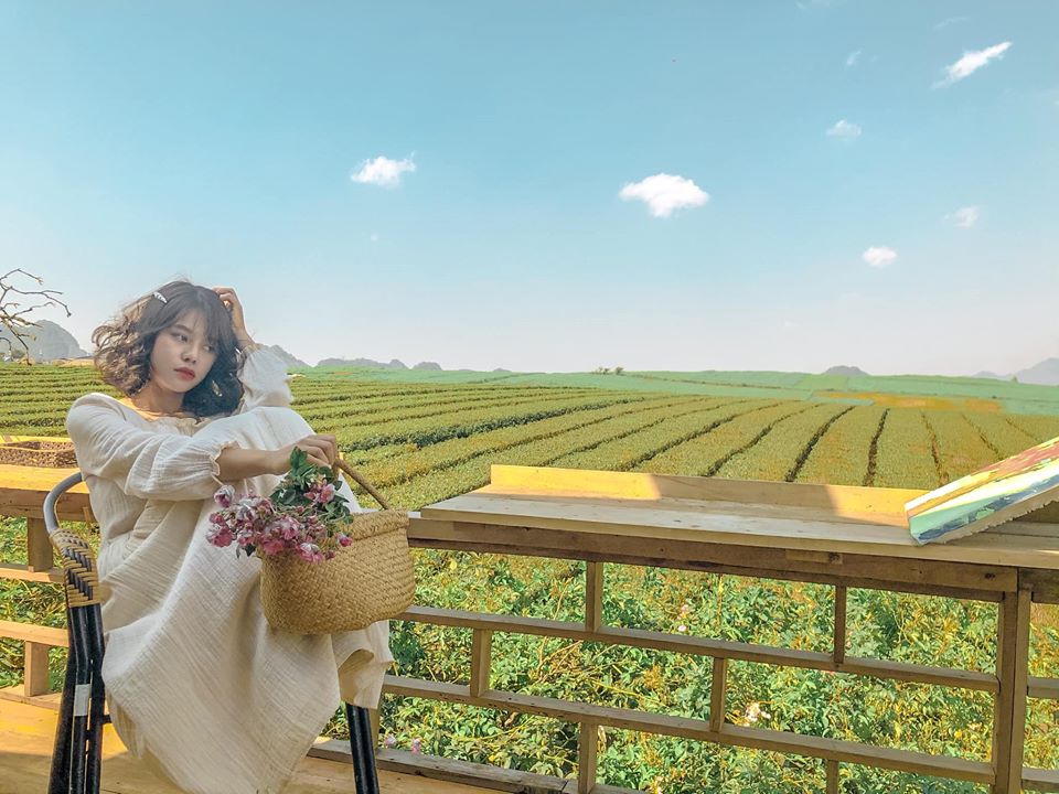 The Meadow Homestay - Điểm Đến Mới Đầy Thú Vị Ở Mộc Châu - Ảnh 1