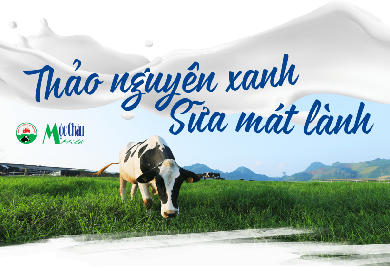 Tìm Hiểu Về Mộc Châu Milk - Đặc Sản Sữa Mộc Châu - Ảnh 1 Tìm Hiểu Về Mộc Châu Milk - Đặc Sản Sữa Mộc Châu - Ảnh 1