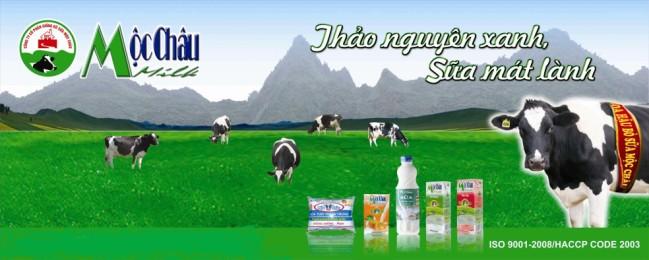 Tìm Hiểu Về Mộc Châu Milk - Đặc Sản Sữa Mộc Châu - Ảnh 4 Tìm Hiểu Về Mộc Châu Milk - Đặc Sản Sữa Mộc Châu - Ảnh 4