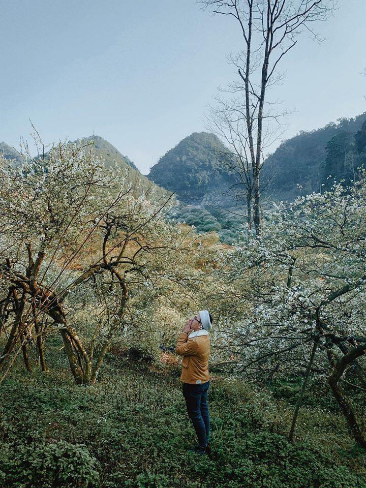 hành trình Mộc Châu Thì Ở Đâu? - Ảnh 2