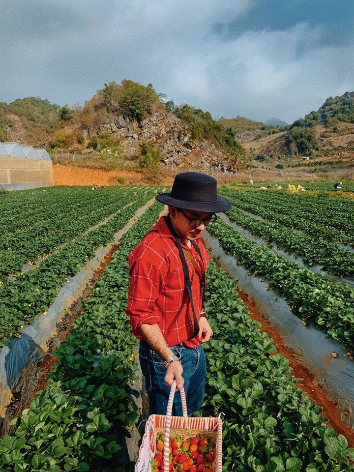 Ngày 1: Hà Nội - The November Mộc Châu - Vườn mận Mu Náu - Ảnh 2