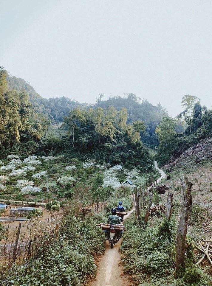 hành trình Mộc Châu Thì Ở Đâu? - Ảnh 4