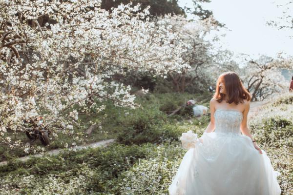 hành trình Mộc Châu mùa hoa đào hoa mận vào tháng 11, tháng 12, tháng 1, tháng 2 âm lịch - Ảnh 1