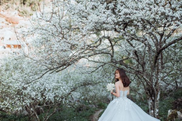 hành trình Mộc Châu mùa hoa đào hoa mận vào tháng 11, tháng 12, tháng 1, tháng 2 âm lịch - Ảnh 2