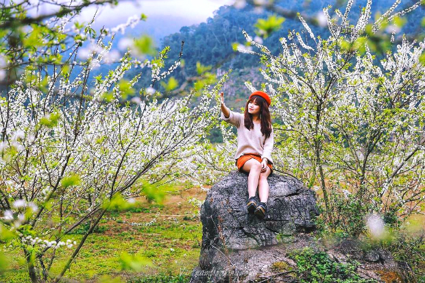 hành trình Mộc Châu Mùa hoa Ban khoảng tháng 3, tháng 4 - Ảnh 2