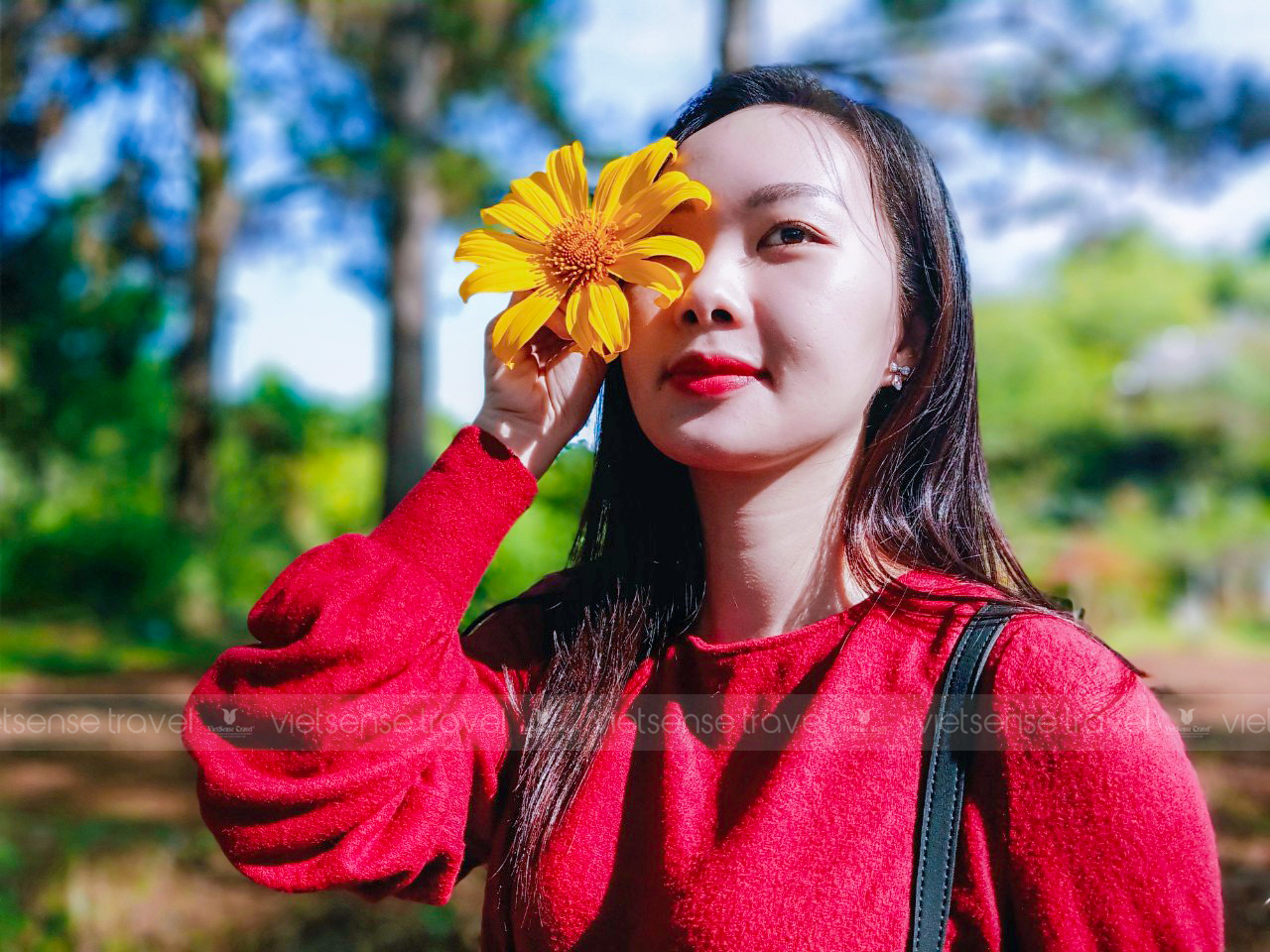 Hà Nội - Mai Châu - Mộc Châu | Mùa Hoa Mơ Hoa Mận Tết Âm Lịch - Ảnh 5