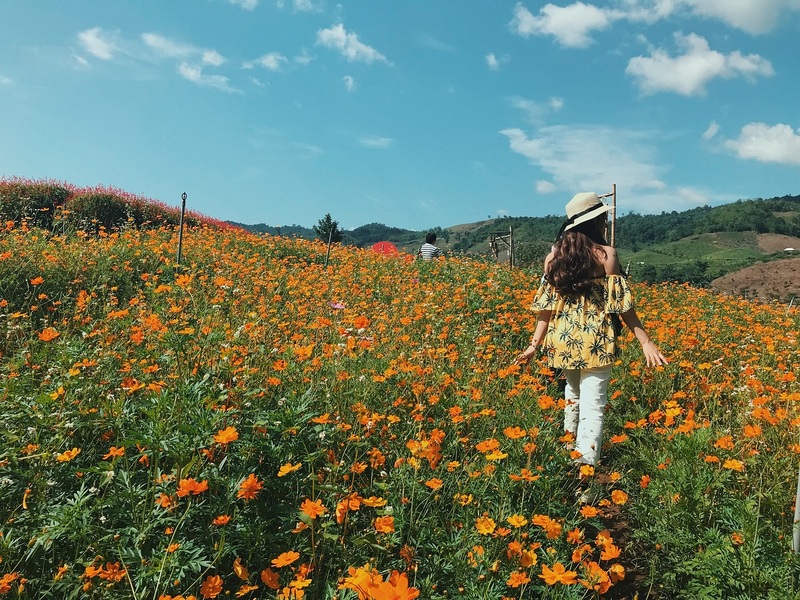 Trở Lại Mộc Châu Tìm Lại Dáng Hình Thanh Xuân Năm Ấy - Ảnh 2 Trở Lại Mộc Châu Tìm Lại Dáng Hình Thanh Xuân Năm Ấy - Ảnh 2