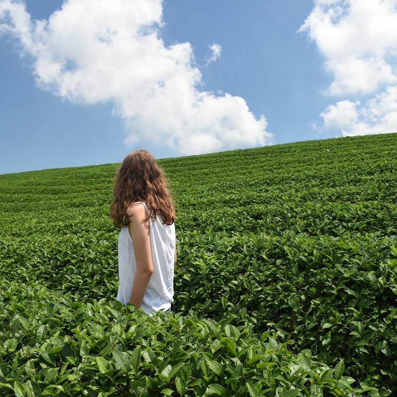 Trở Lại Mộc Châu Tìm Lại Dáng Hình Thanh Xuân Năm Ấy - Ảnh 3 Trở Lại Mộc Châu Tìm Lại Dáng Hình Thanh Xuân Năm Ấy - Ảnh 3