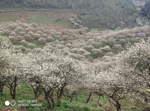 Thung Cuông – vườn mộng mơ dành cho dân phượt