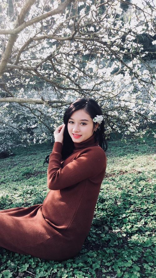 Lũng mận Mu Náu - Ảnh 6