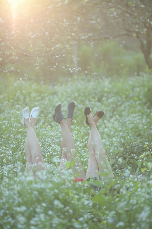 Thung lũng mận Nà Ka - Ảnh 3