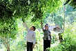 Đắm mình trong các vườn cây trang trại ở Quỳnh Nhai