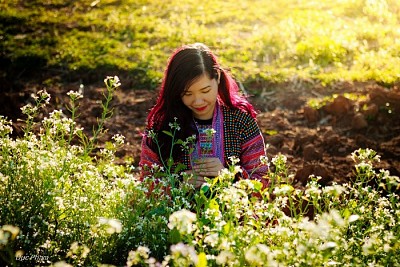 Có Một Mộc Châu Tựa Thiên Đường Ngày Tháng 10 Chạm Ngõ Có Một Mộc Châu Tựa Thiên Đường Ngày Tháng 10 Chạm Ngõ