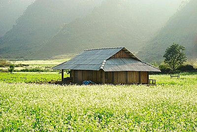 Đi vào tháng mấy để gặp gỡ mùa hoa cải Mộc Châu? Đi vào tháng mấy để gặp gỡ mùa hoa cải Mộc Châu?