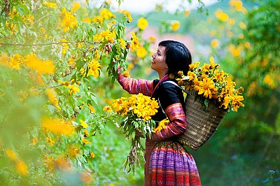 MÙA NÀO LÀ ĐẸP NHẤT ??? MÙA NÀO LÀ ĐẸP NHẤT ???