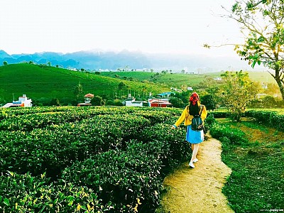 Du Lịch Mộc Châu Tháng 9 Và Những Trải Nghiệm Đừng Bỏ Lỡ Du Lịch Mộc Châu Tháng 9 Và Những Trải Nghiệm Đừng Bỏ Lỡ