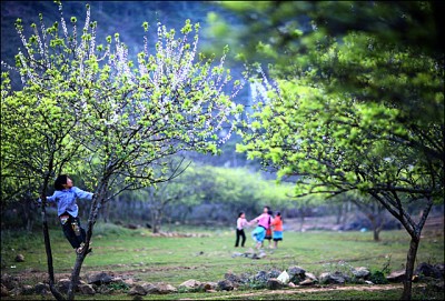 Những Điểm Đến Đẹp Khi Du Lịch Mộc Châu | VIETSENSE TRAVEL Những Điểm Đến Đẹp Khi Du Lịch Mộc Châu | VIETSENSE TRAVEL