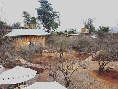 Rạo Rực Với Homestay Chất Lừ Giữa Lòng Mộc Châu Rạo Rực Với Homestay Chất Lừ Giữa Lòng Mộc Châu