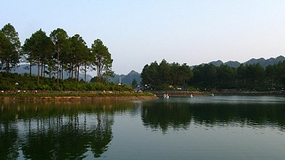 Thơ Mộng Rừng Thông Bản Áng Thơ Mộng Rừng Thông Bản Áng