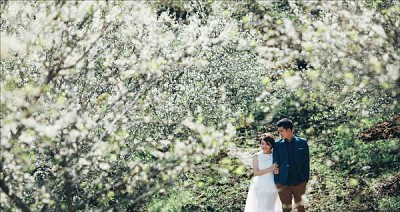 Thung Lũng Mận Nà Ka - Thiên Đường Giữa Lưng Chừng Mây Thung Lũng Mận Nà Ka - Thiên Đường Giữa Lưng Chừng Mây