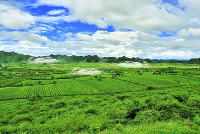 Mùa Hè Cho Bé Trên Cao Nguyên Mộc Châu Mùa Hè Cho Bé Trên Cao Nguyên Mộc Châu
