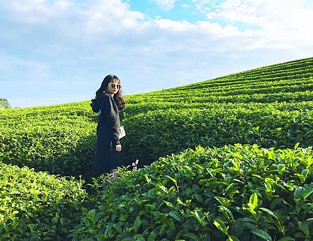 Bình Yên tháng 3 trên xứ Mộc Châu Bình Yên tháng 3 trên xứ Mộc Châu