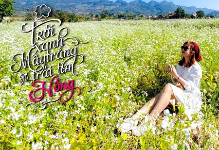 chương trình Mộc Châu Mùa Hoa Cải 2025