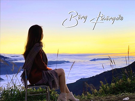 Chương trình Mộc Châu Mùa hoa mơ hoa mận - Săn Mây Tà Xùa